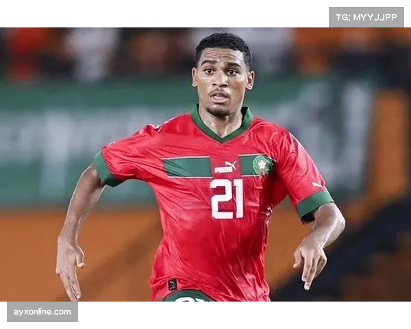 德甲联赛球员国籍多样化 国际化程度持续提高 德甲联赛球员国籍多样化 国际化程度持续提高